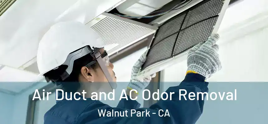  Air Duct and AC Odor Removal Walnut Park - CA