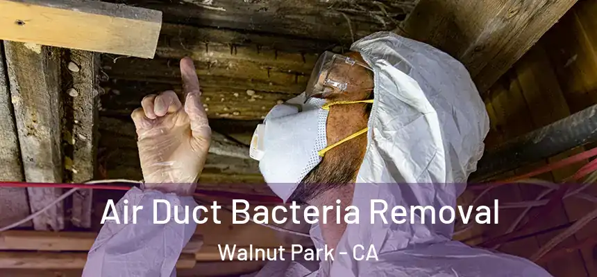 Air Duct Bacteria Removal Walnut Park - CA