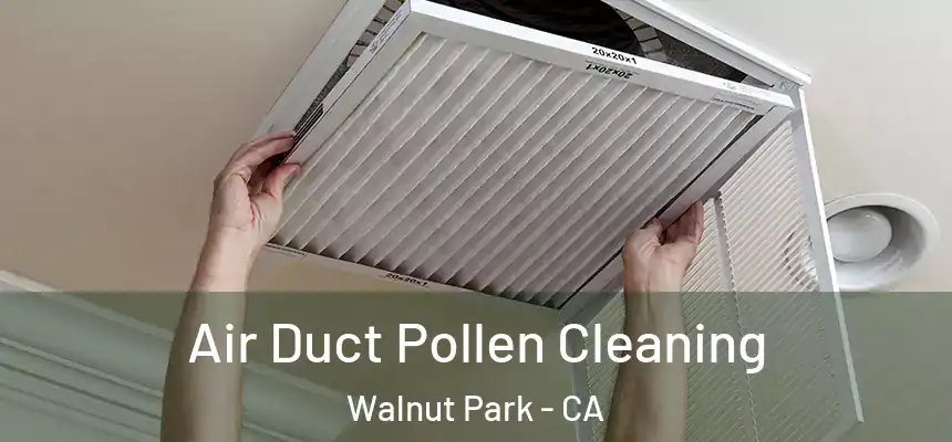  Air Duct Pollen Cleaning Walnut Park - CA