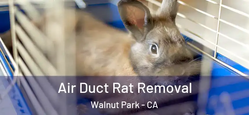  Air Duct Rat Removal Walnut Park - CA