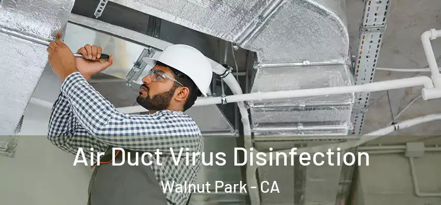  Air Duct Virus Disinfection Walnut Park - CA
