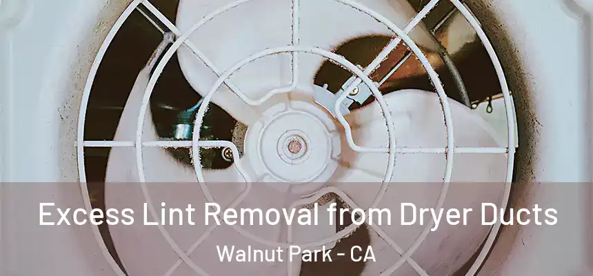  Excess Lint Removal from Dryer Ducts Walnut Park - CA