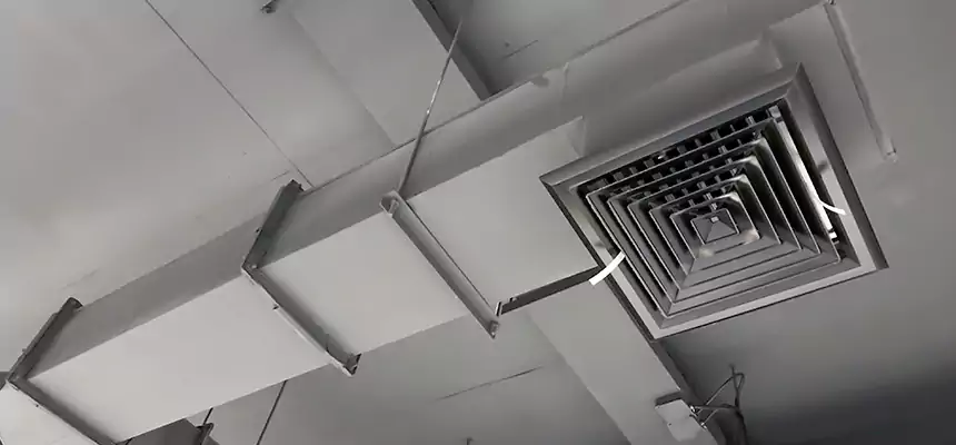 Our Rodent Droppings In Vents Services in Walnut Park, CA