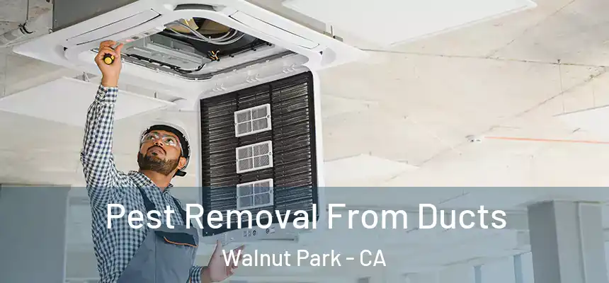  Pest Removal From Ducts Walnut Park - CA