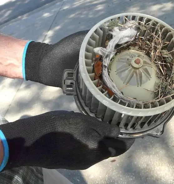 About Air Duct Rat Removal in Walnut Park, CA