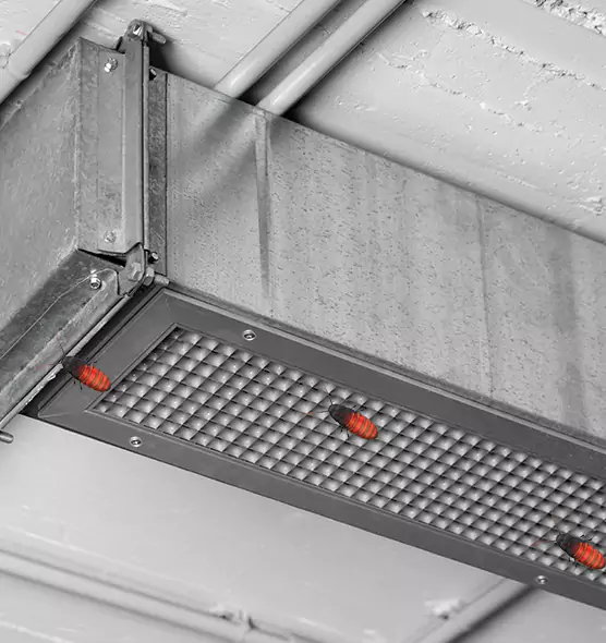Affordable Insect Removal from Air Ducts in Walnut Park, CA