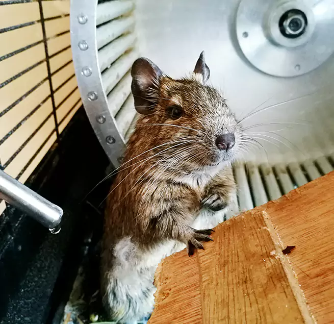 Why Homeowners & Businesses Trust Us Walnut Park, CA?