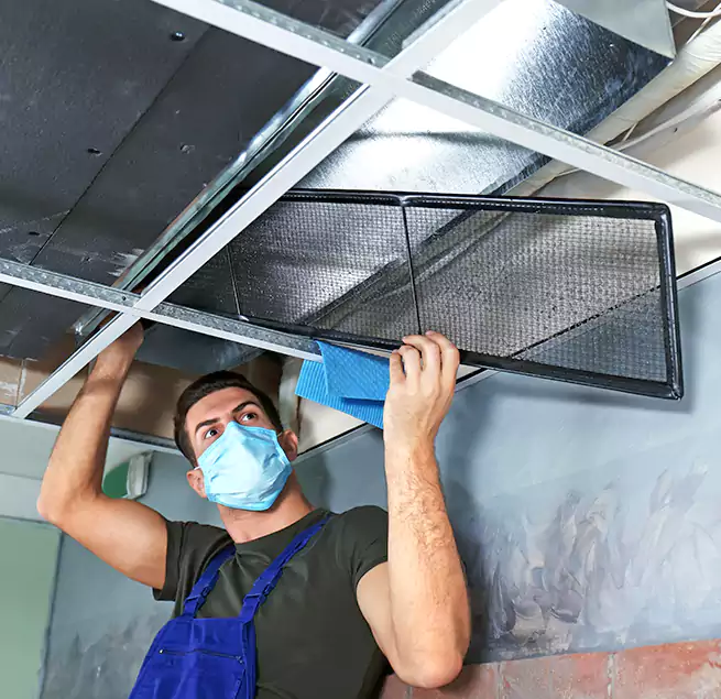 Why Homeowners Businesses Trust Us in Walnut Park, CA