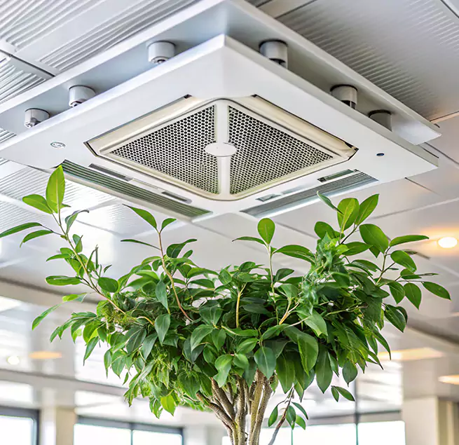 Why Homeowners & Businesses Trust Us in Walnut Park, CA